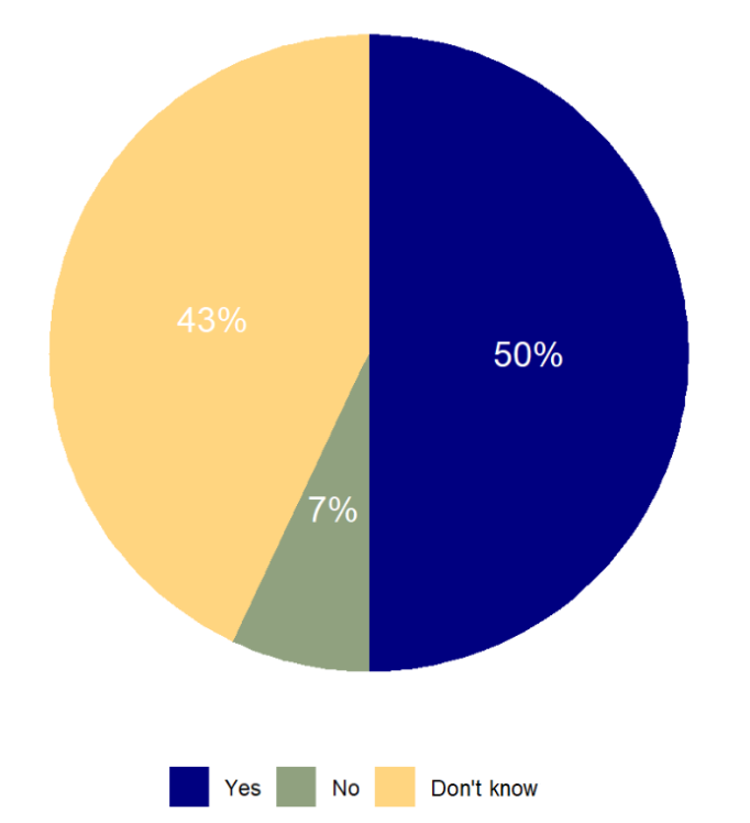 Figure 6. Stakeholder involvement in organizational AI framework and guidelines development